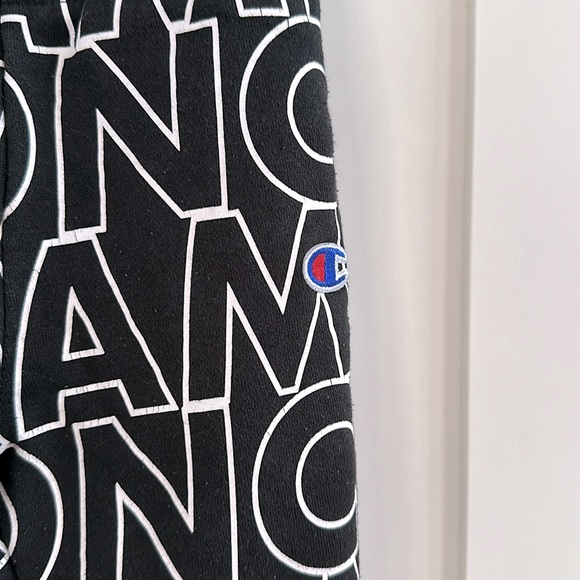 Champion 2-Piece Sweatsuit, SZ 3T - Picture 5 of 5